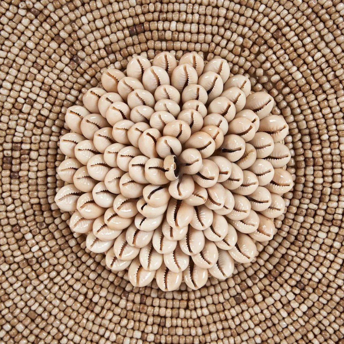 Natural White Shell on Stand – Coastal Home Decor Accent Piece