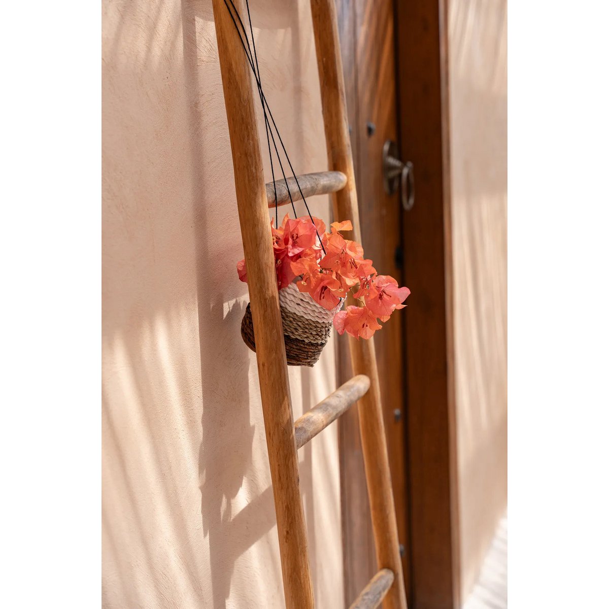 The Banana Plant Hanger - Natural White - S