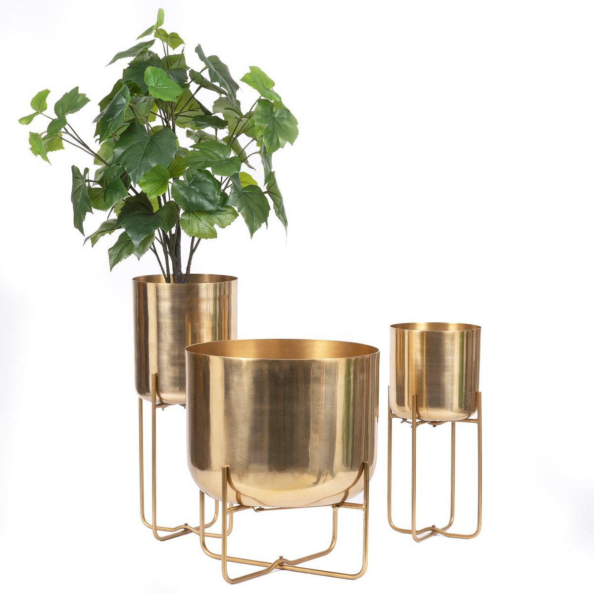Brass Planter on Stand - Large - Modern Indoor Plant Display