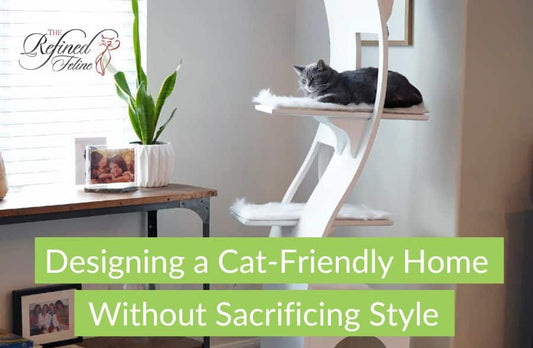 Top 10 Tips for a Cat-Friendly Home in 2025