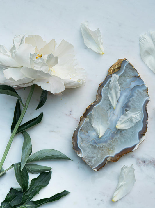 Ultimate Coastal Decor Trends for Beachy Vibes in 2025