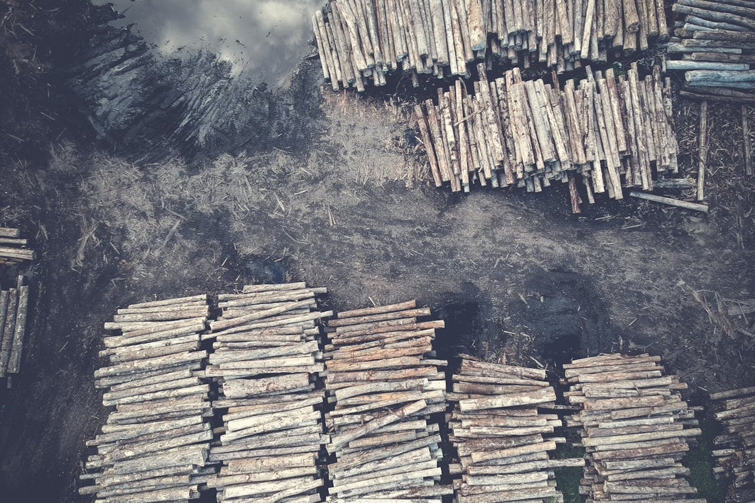 Global Wood Furniture Manufacturing Giants: 2025's Top 10 Producers