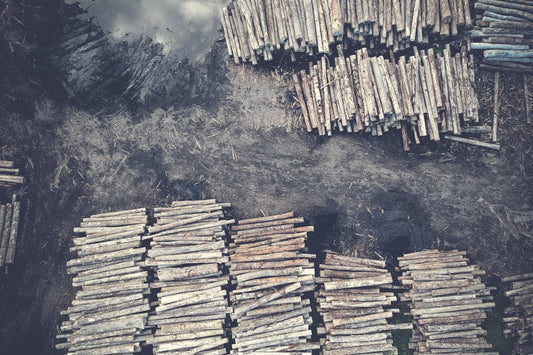 Global Wood Furniture Manufacturing Giants: 2025's Top 10 Producers