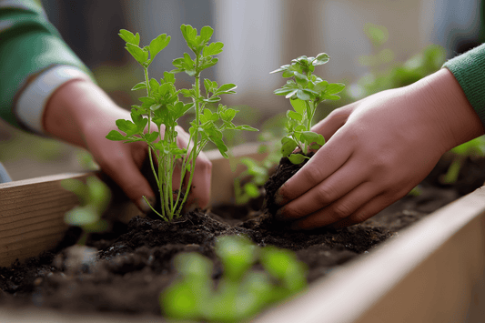 Top Indoor Gardening Trends for 2025