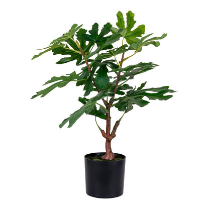 Fig Tree - Green, PE Plastic, H:60 cm