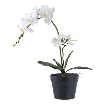Artificial Orchid – Green & White Faux Floral Elegance, 49cm