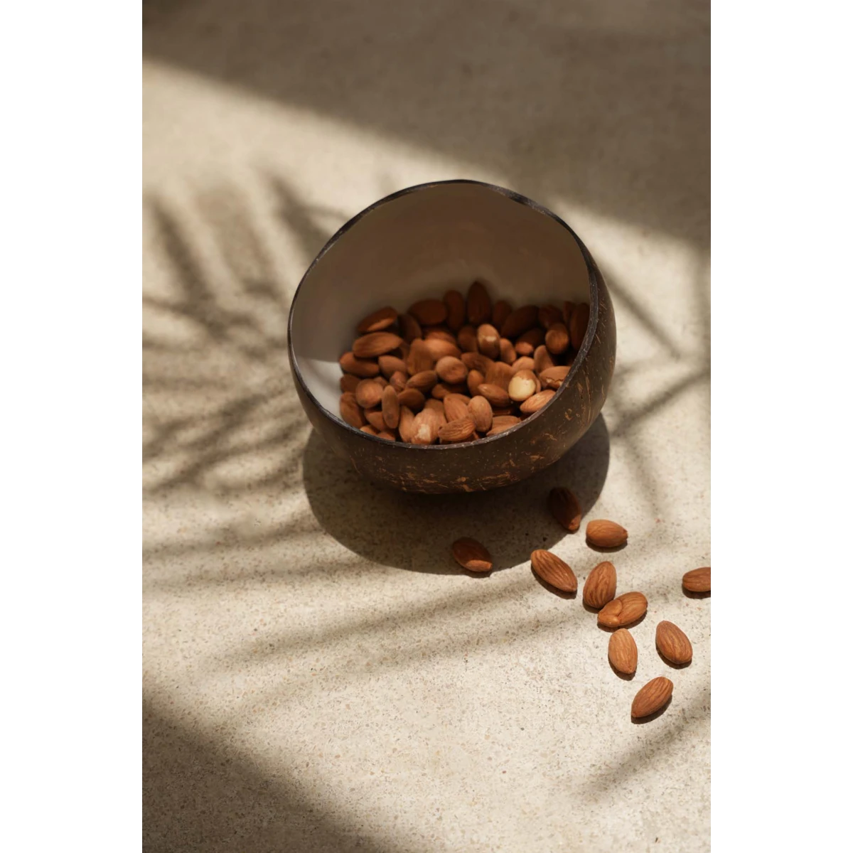 The Coco Food Bowl - Natural White