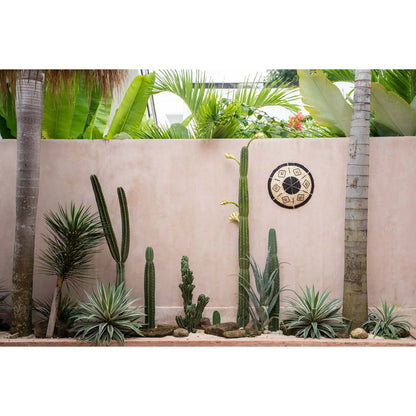 The Cozumel Plate - Small