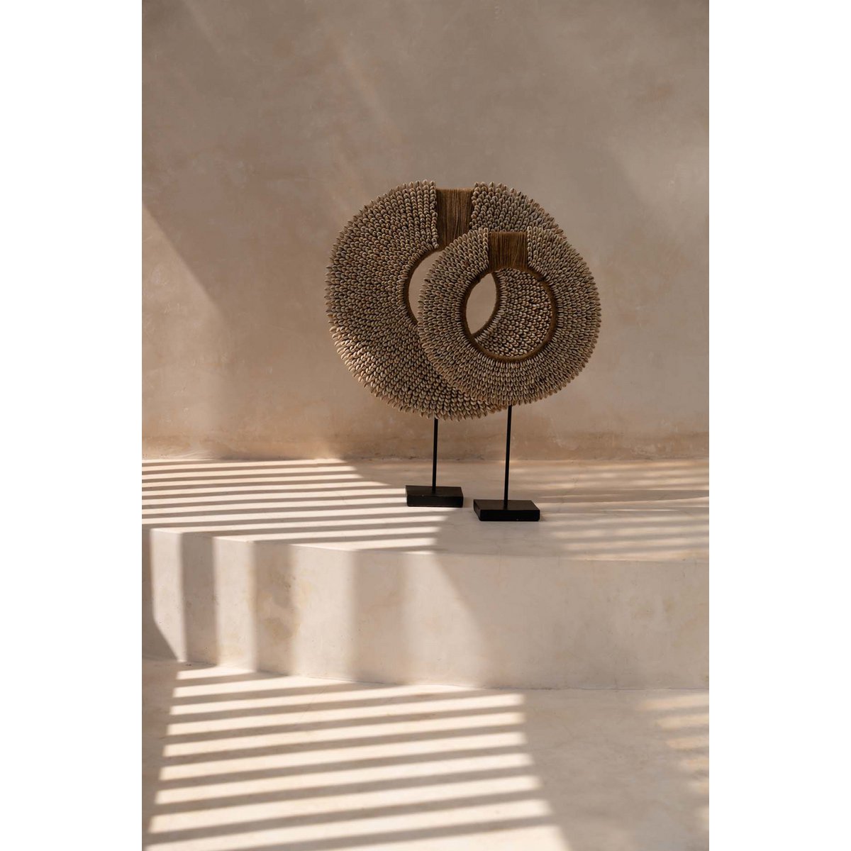 Seashell Display on Stand - Natural Coastal Decor, Shell Réunion