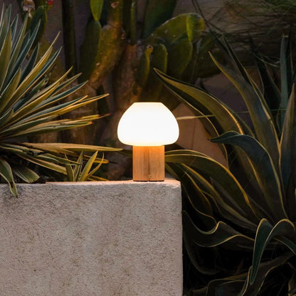 Fynn Light Brown Wooden Lamp | Rechargeable, Dimmable & Stylish