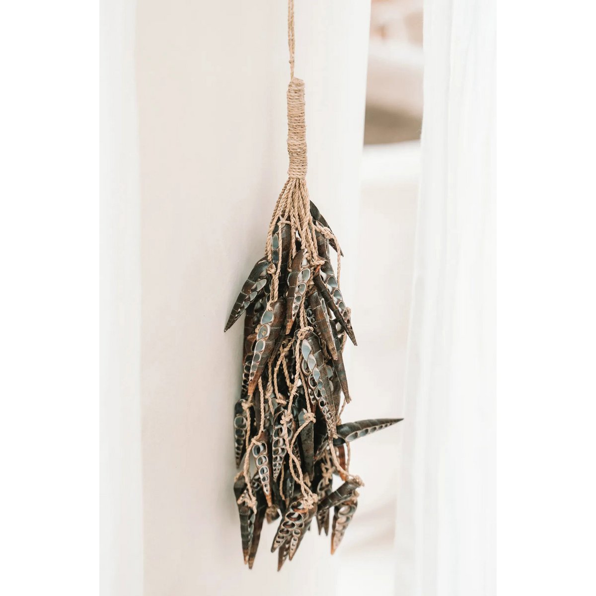 Seashell Tassel Wall Hanging - Brown Unicorn Shell Decor