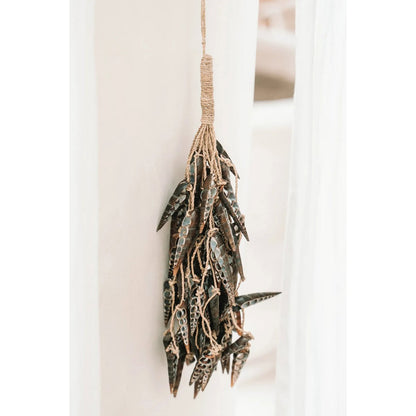 Seashell Tassel Wall Hanging - Brown Unicorn Shell Decor