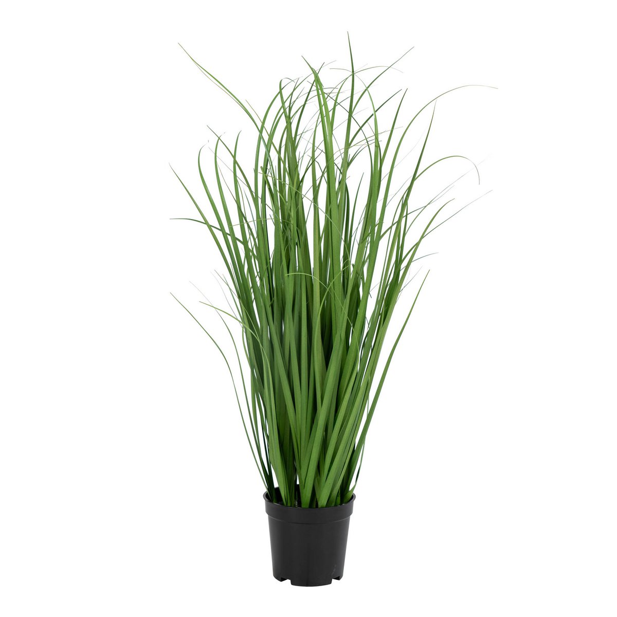 Poa Grass - Green, PE Plastic/Polyester, 30x30x68 cm