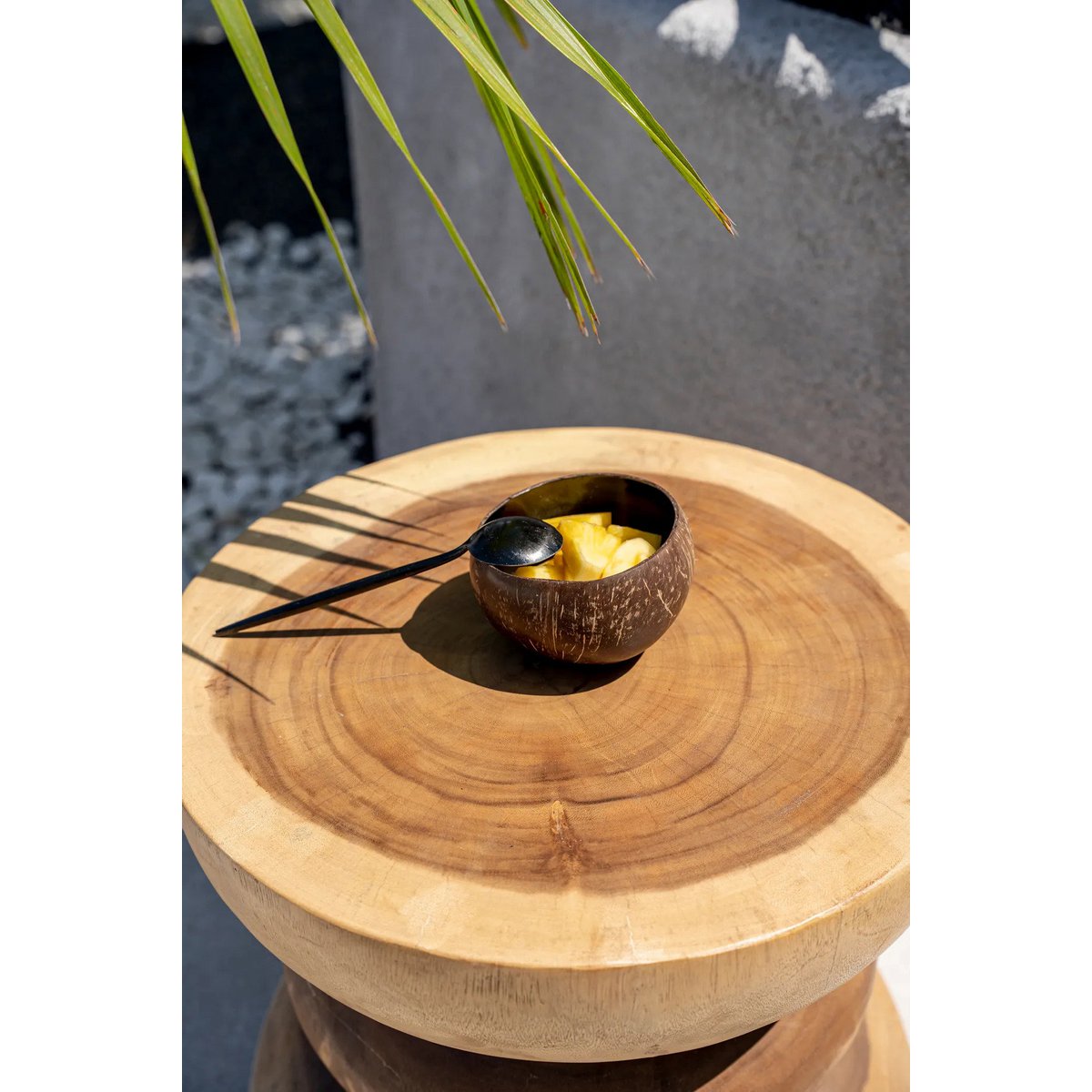 Coconut Food Bowl - Natural Black Tropical Bowl