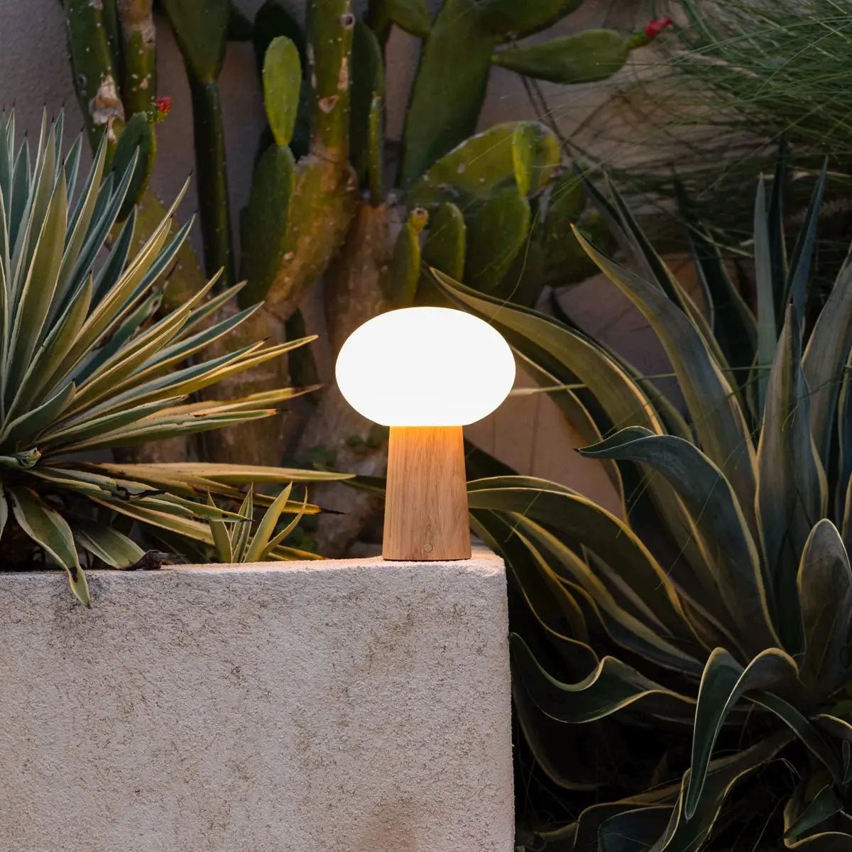 Max Light Brown Wooden Cordless Table Lamp | Rechargeable, Glass & Sustainable Design
