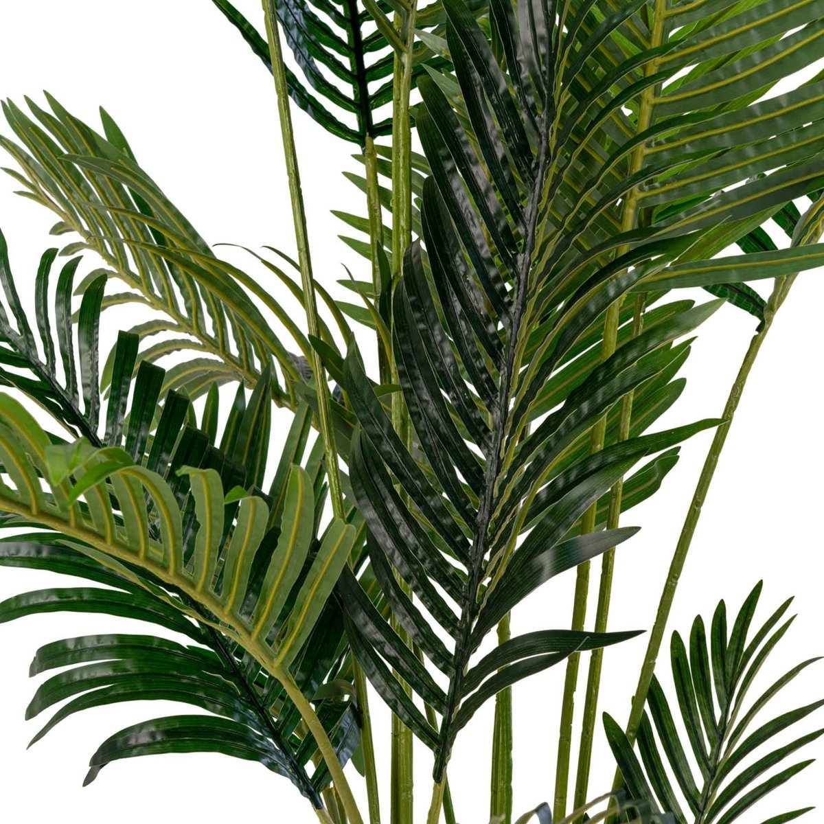 Palmier Areca - Vert, Plastique/Polymère PE, 64x64x175 cm