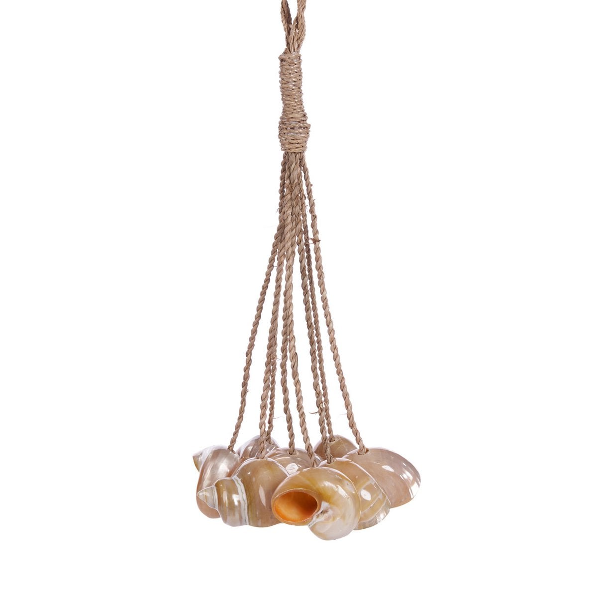 Natural Conch Shell Tassel - Coastal Wall Hanging