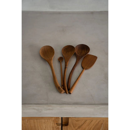 The Teak Root Dosage Spoon