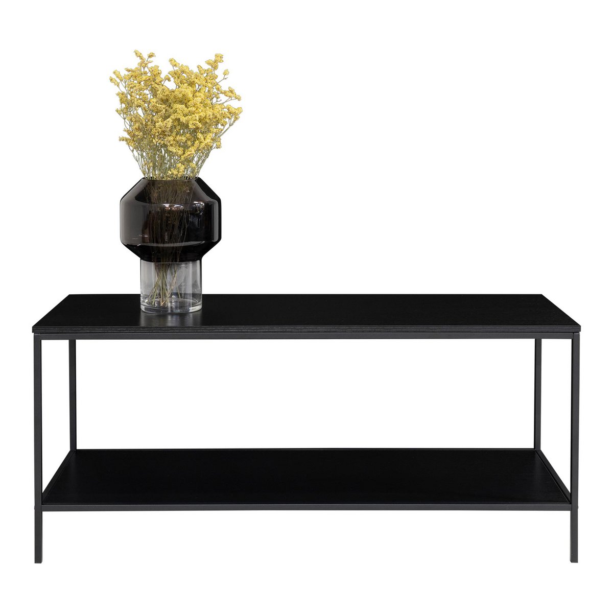 Vita TV Stand - black, steel, 100x36x45cm