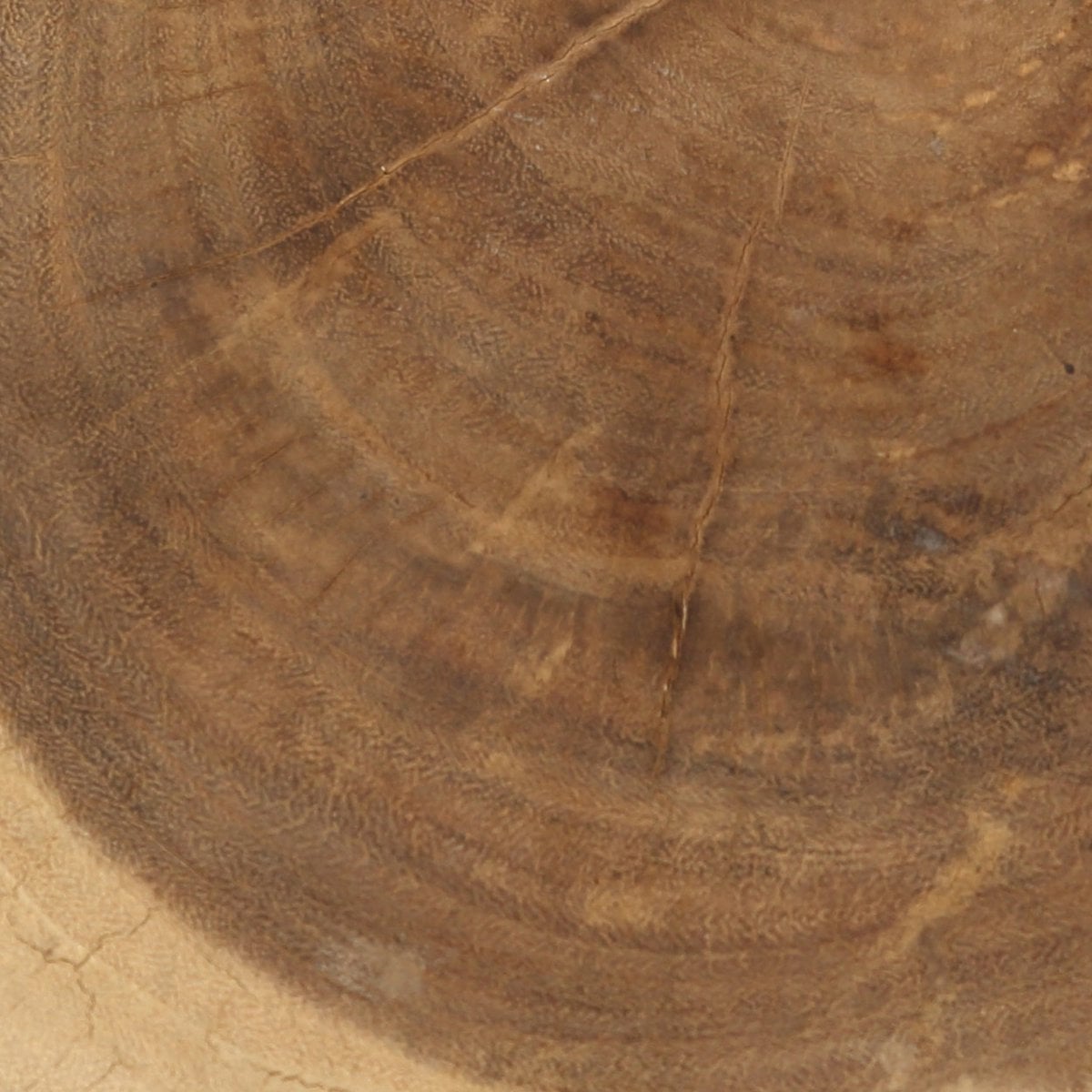 Munggur Wood Stool - Natural White Accent Stool or Table
