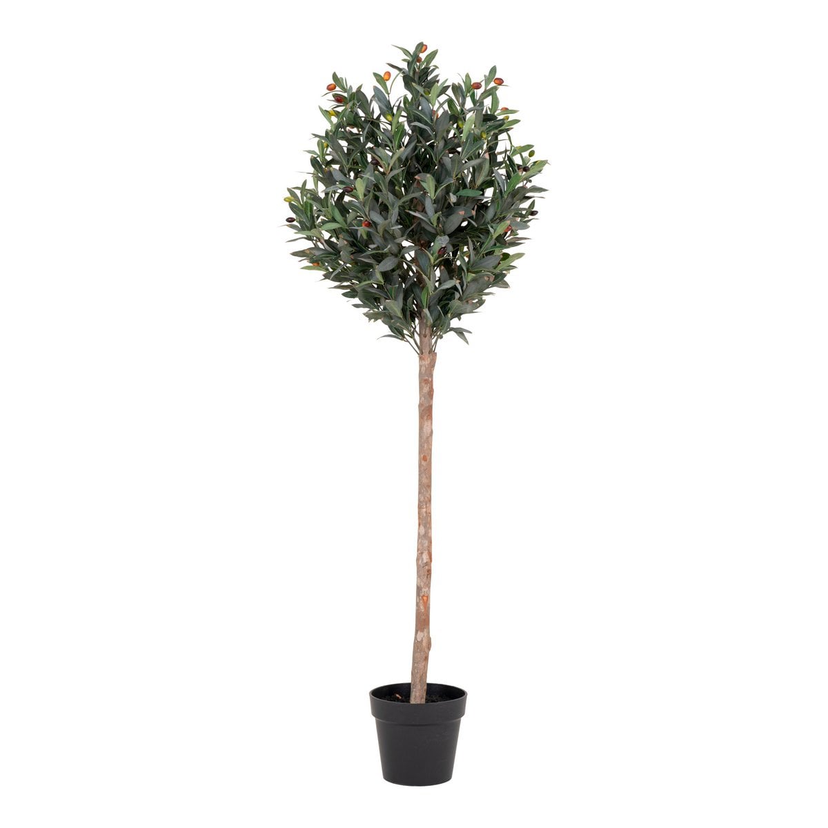 Olive Tree - Green, PE Plastic/Polyester, 58x58x150 cm