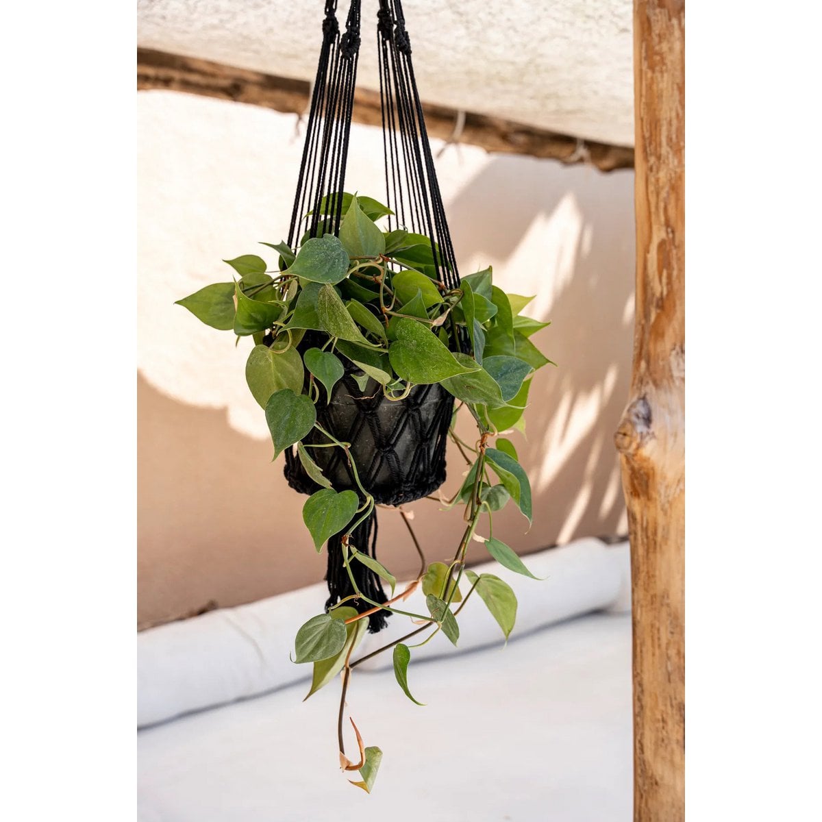 Black Macramé Plant Hanger - Large Bohemian Style Indoor Planter