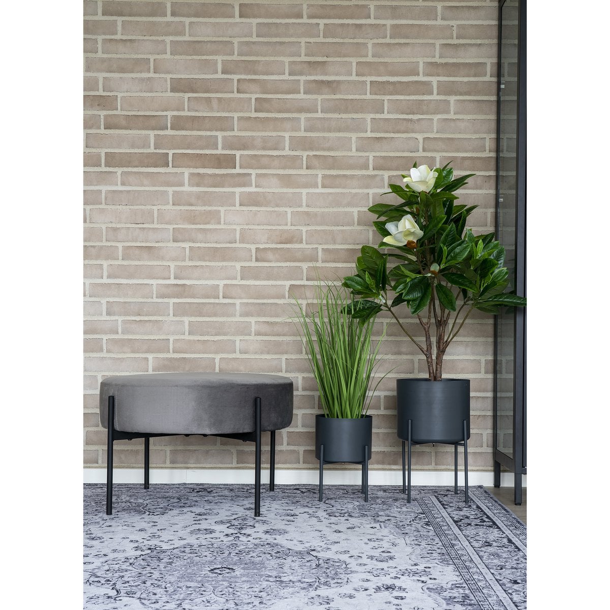 Chenille Area Rug - Black and White Havana Pattern, 160x230 cm