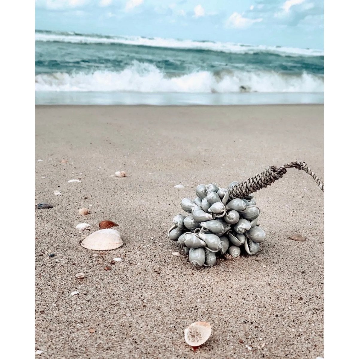 Seashell Tassel Wall Hanging - Grey Coastal Decor