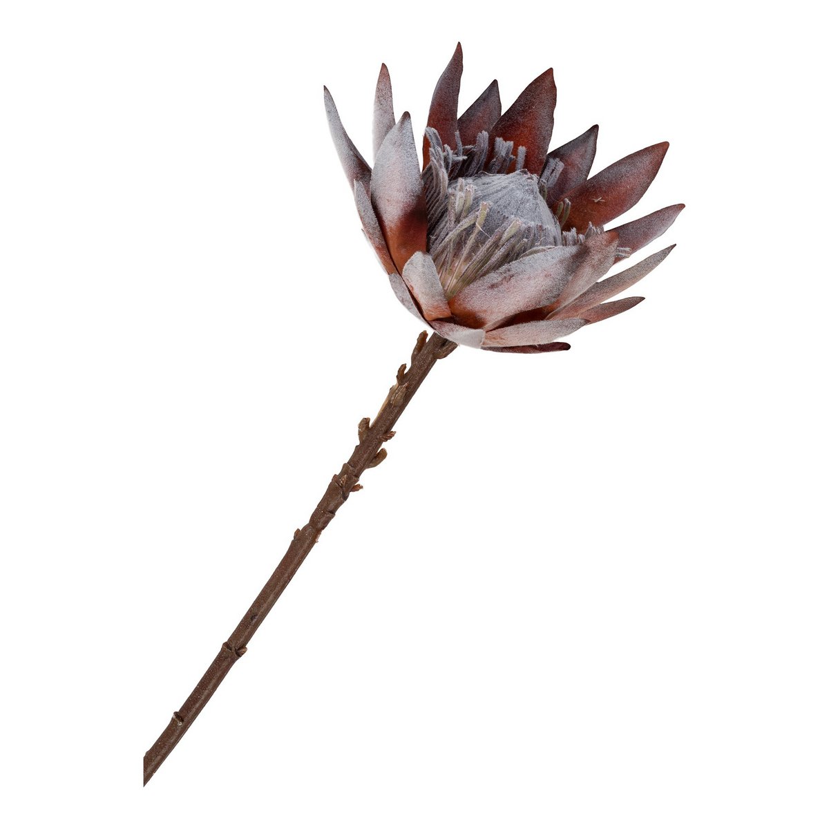 Artificial Flower Bouquet - King Protea & Rose Mix, 74cm