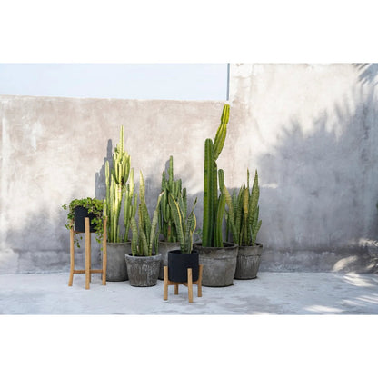 Terracotta Plant Pot - Black Teak Planter for Dry Flowers, Small