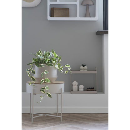 Artificial Hoya Carnosa Plant – 33cm Realistic Greenery