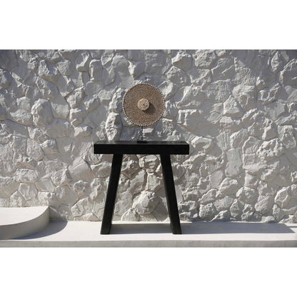 Natural White Shell on Stand – Coastal Home Decor Accent Piece