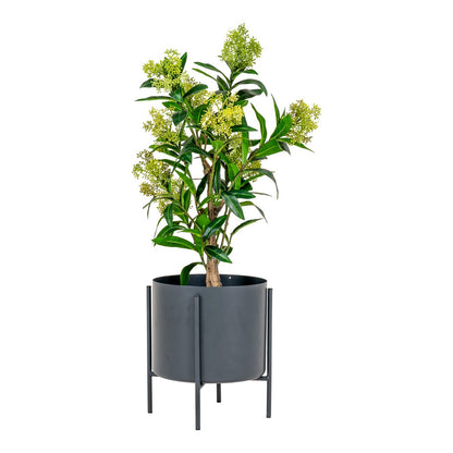 Skimmia Tree - Green, PE Plastic, H:75 cm