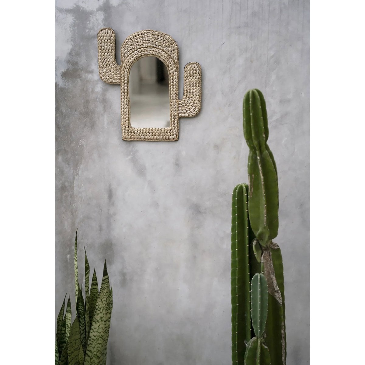 Cowrie Shell Wall Mirror – Cactus Shape, White Accent Decor