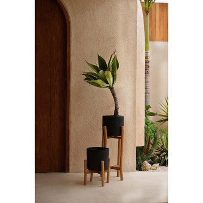 Terracotta Plant Pot - Black Teak Planter for Dry Flowers, Small