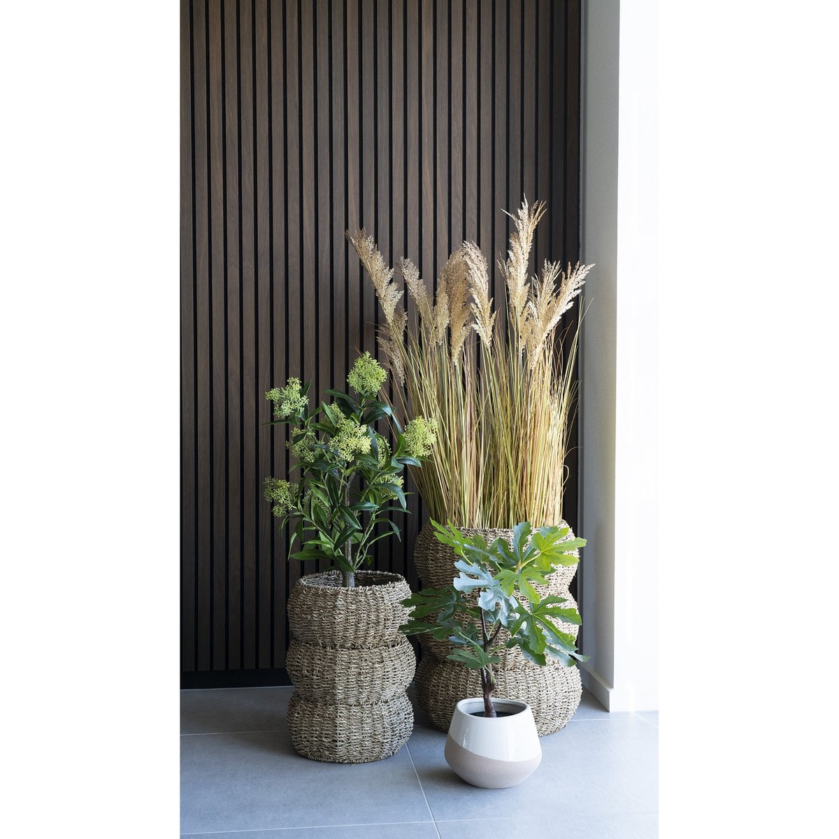 Fig Tree - Green, PE Plastic, H:60 cm