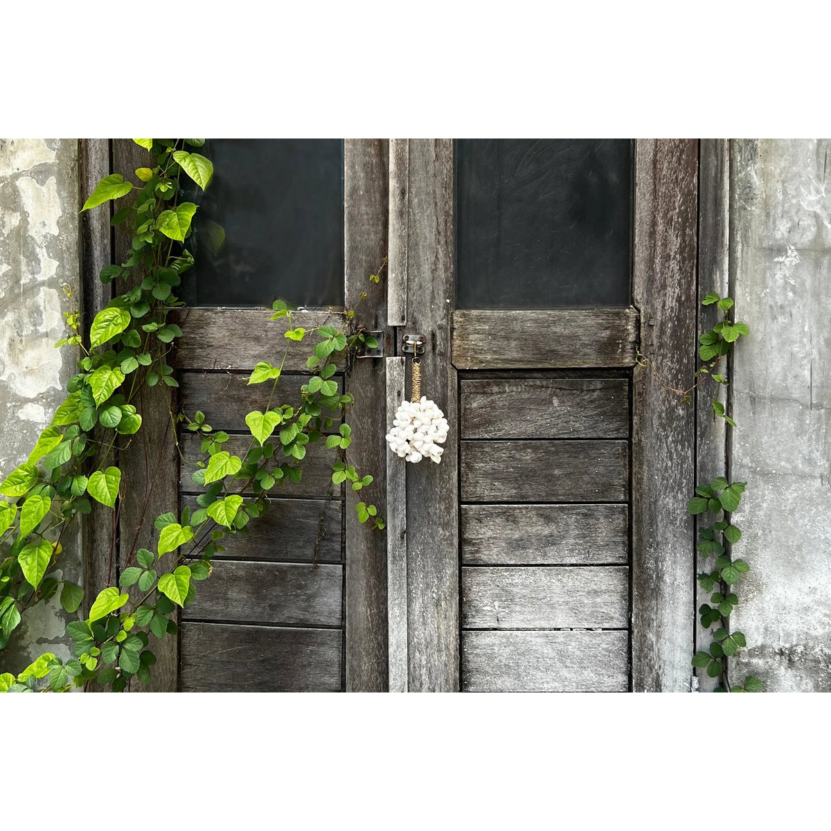 Seashell Keychain - White Coastal Keychain Decor