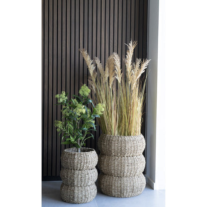 Skimmia Tree - Green, PE Plastic, H:75 cm