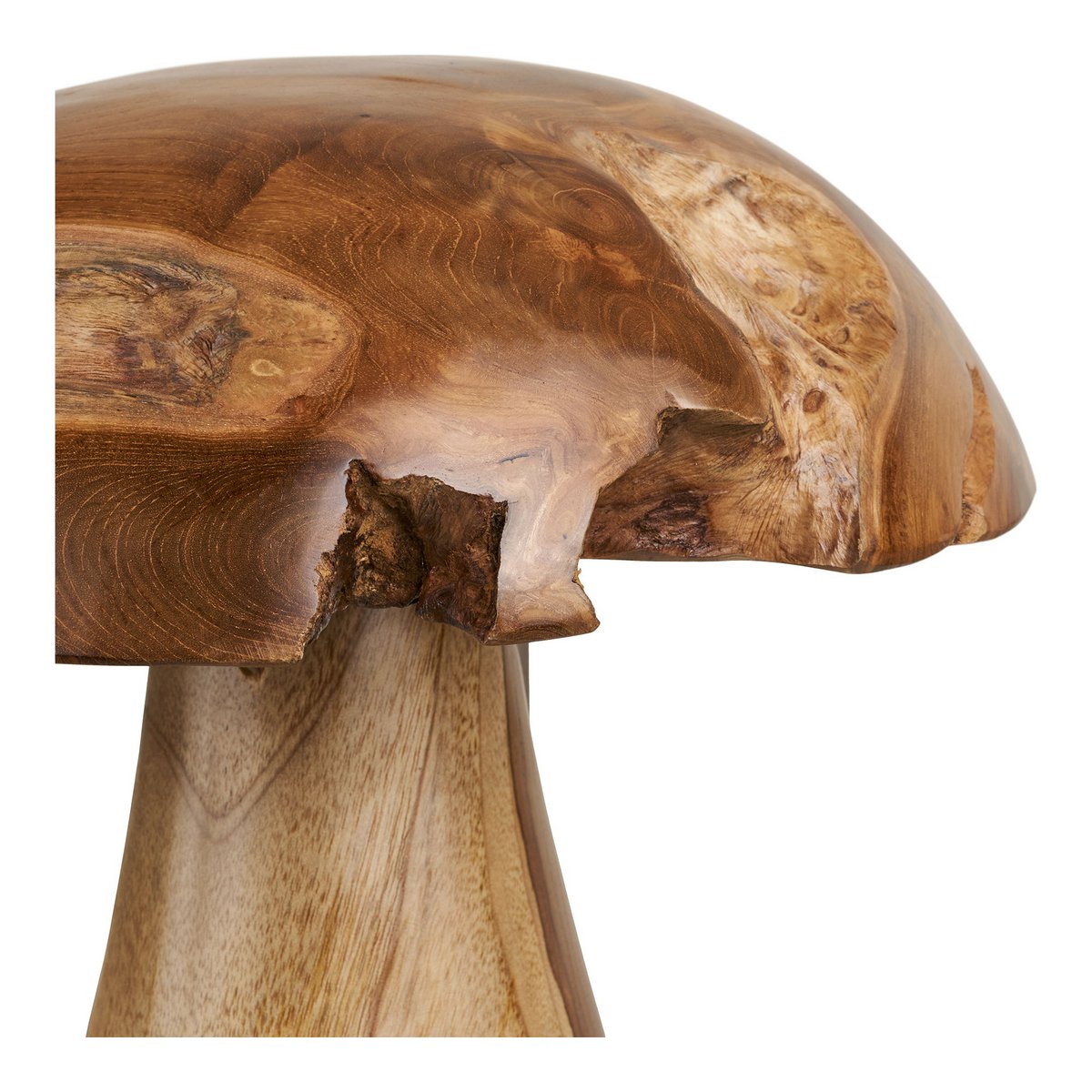 Kodi Dekopilze, Teak, natur, 2er-Set