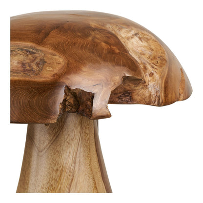 Kodi Dekopilze, Teak, natur, 2er-Set