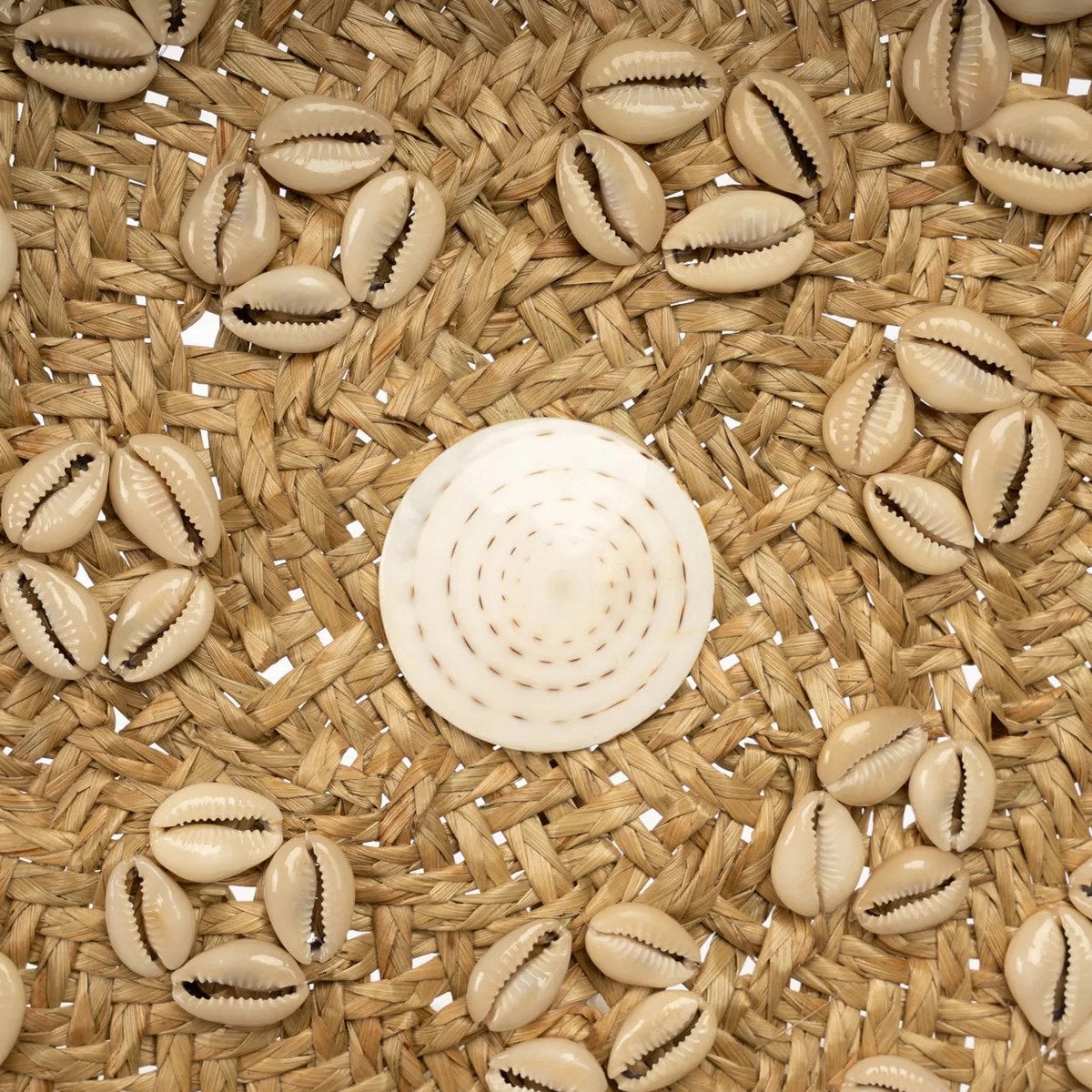 El Plato Caribe Shell - Natural Blanco - M