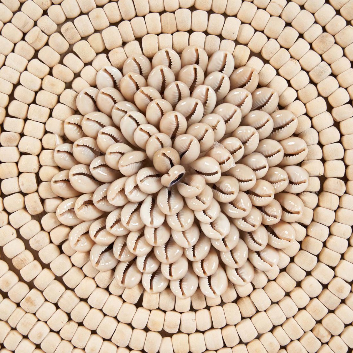 Coastal Shell Decorative Sculpture on Stand – Natural White Ornament