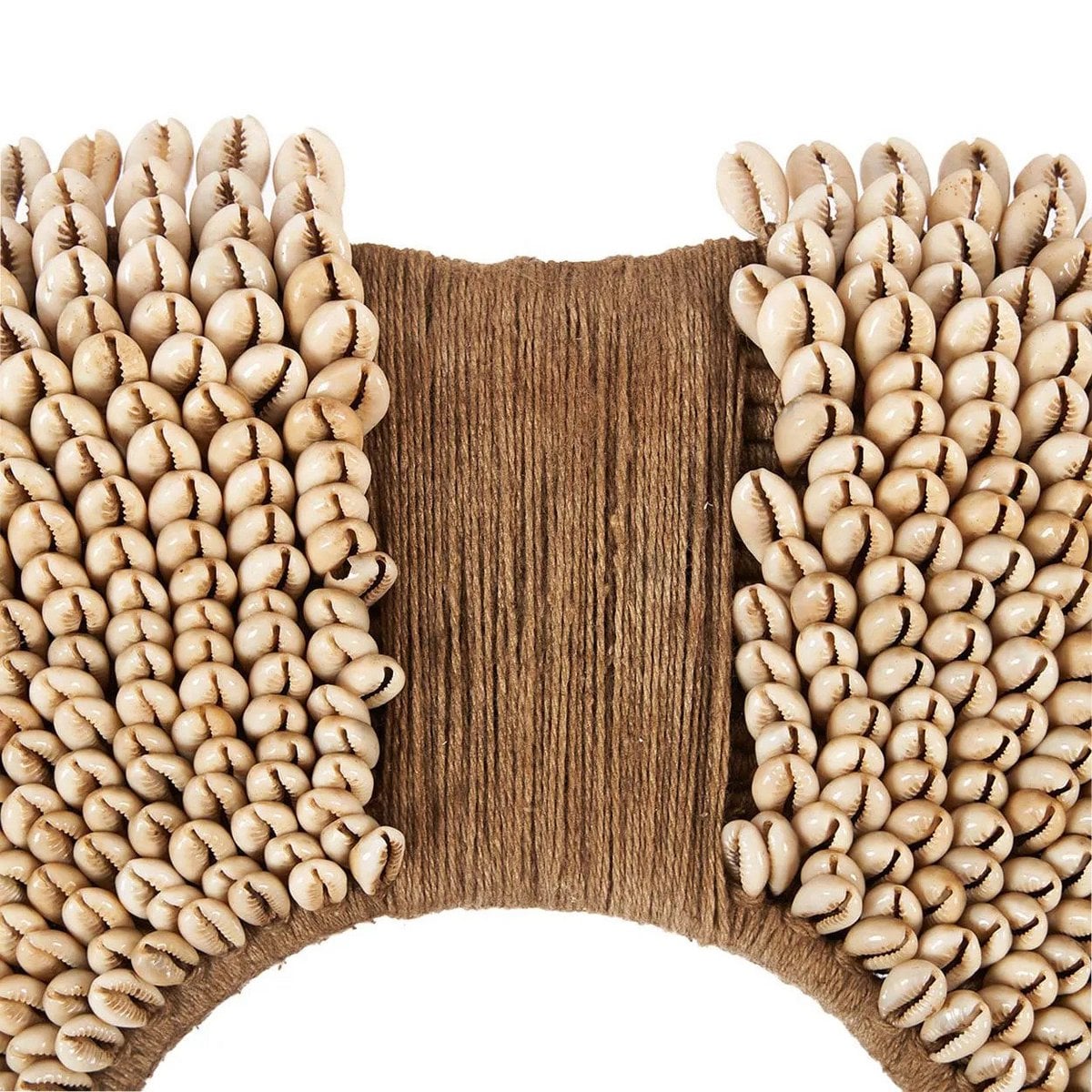 Seashell Display on Stand - Natural Coastal Decor, Shell Réunion