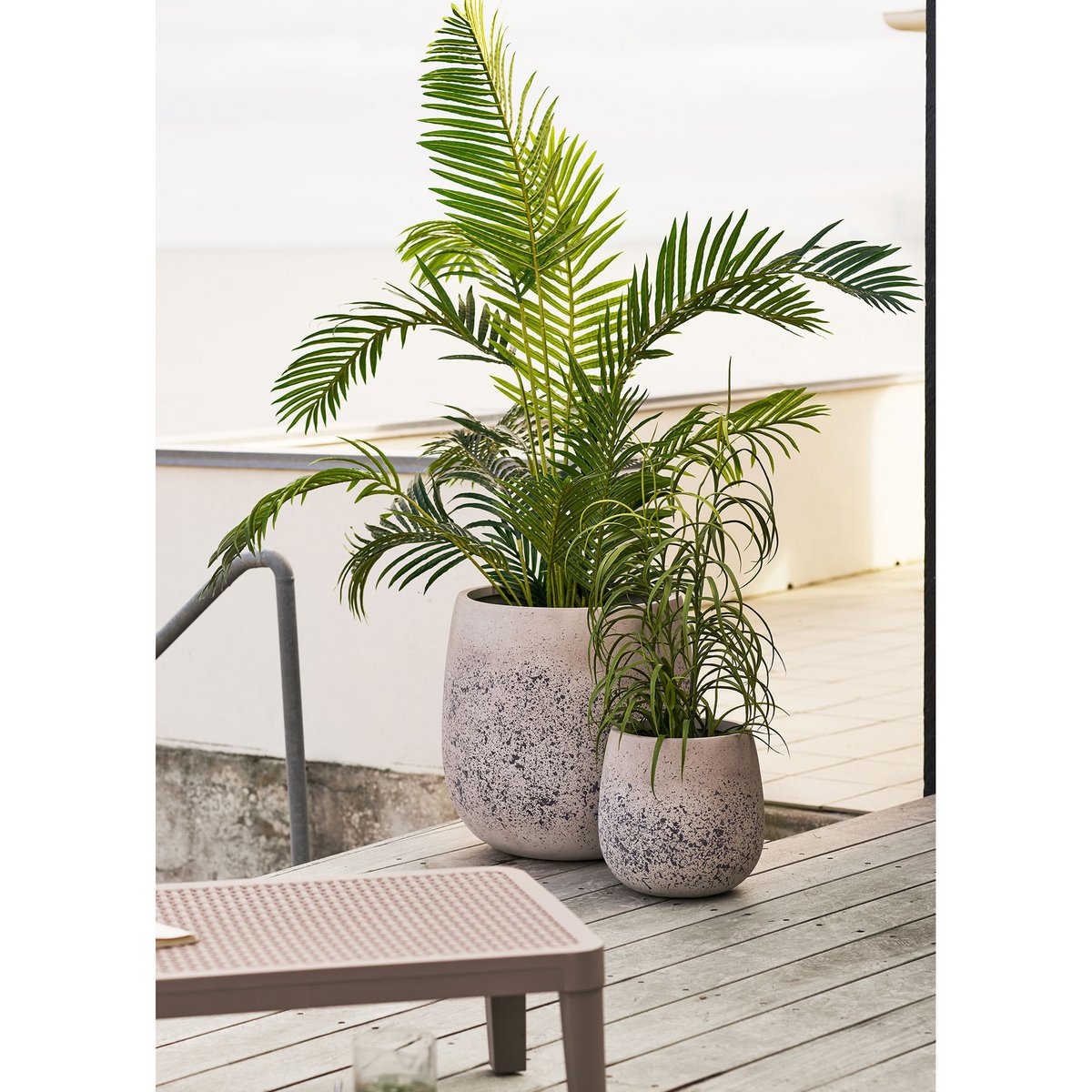 Grass Plant, green, H:68 cm