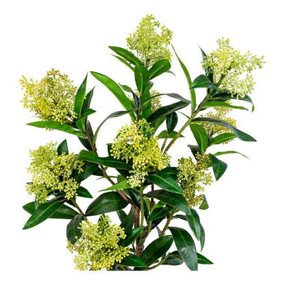Skimmia Tree - Green, PE Plastic, H:75 cm