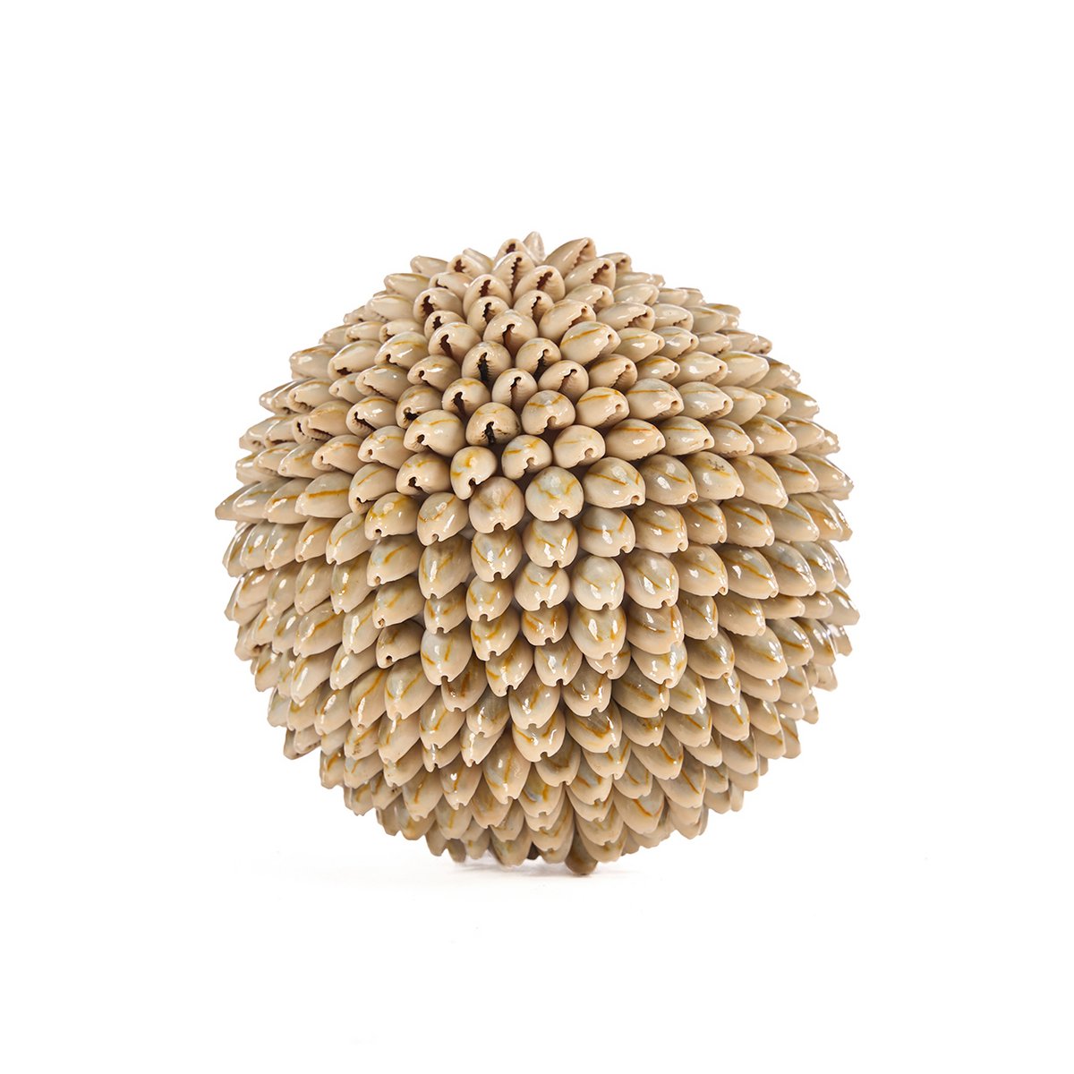 The Oluolu Shell Ball - L
