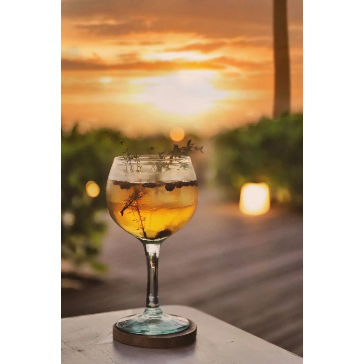 The Teak Root Boho Coaster