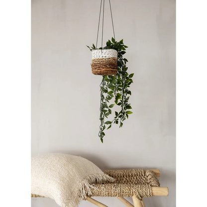 The Banana Plant Hanger - Natural White - S