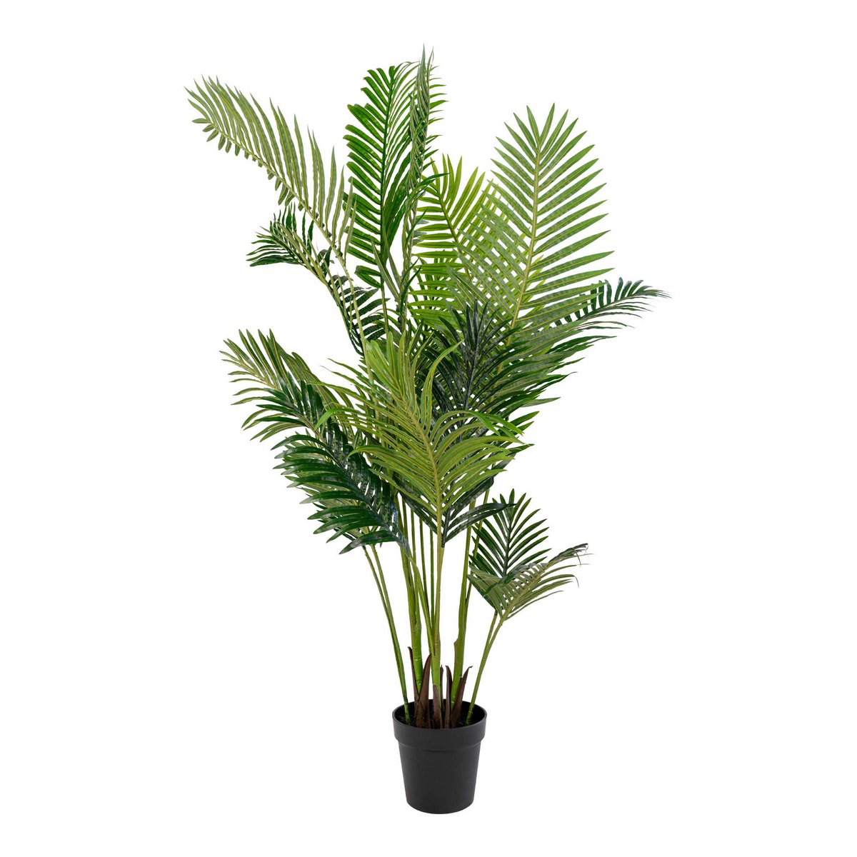 Palmier Areca - Vert, Plastique/Polymère PE, 64x64x175 cm