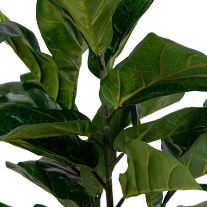 Fiddle Leaf Artificial Tree - Green Polyester & Plastic, 100 cm